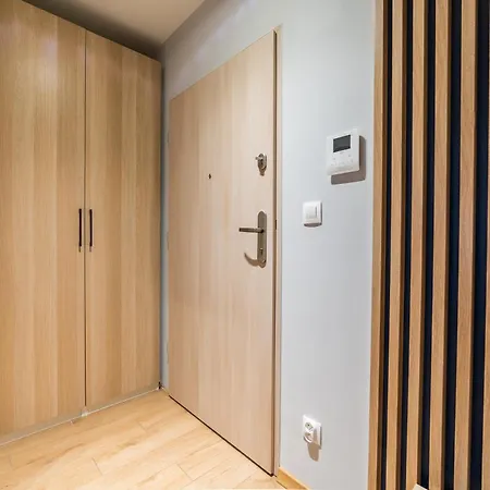 Apartment Serbska Deluxe